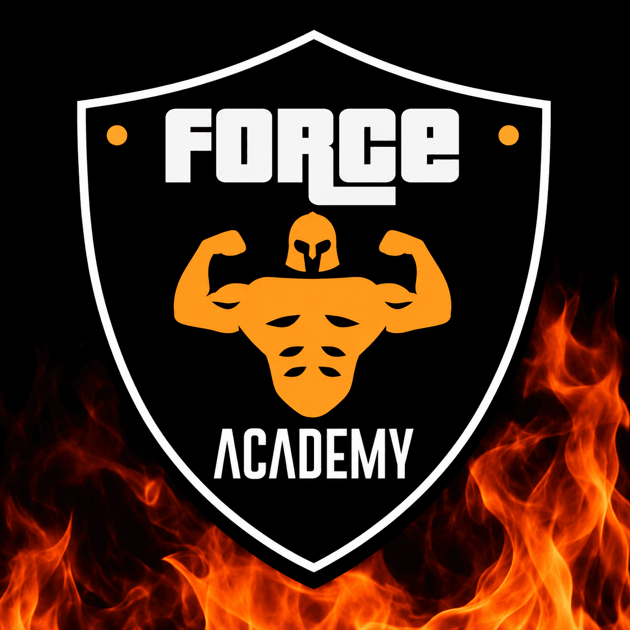Logo Force Academy